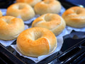 Original Plain Bagel (8pcs)